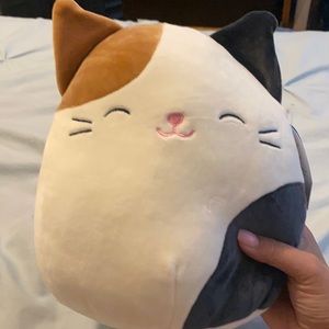 NWT Cam the Cat Squishmallow 8”